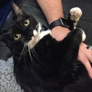 Meet your Posher, Kelsey